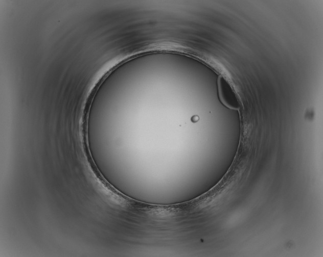 X0000091060947200708201342