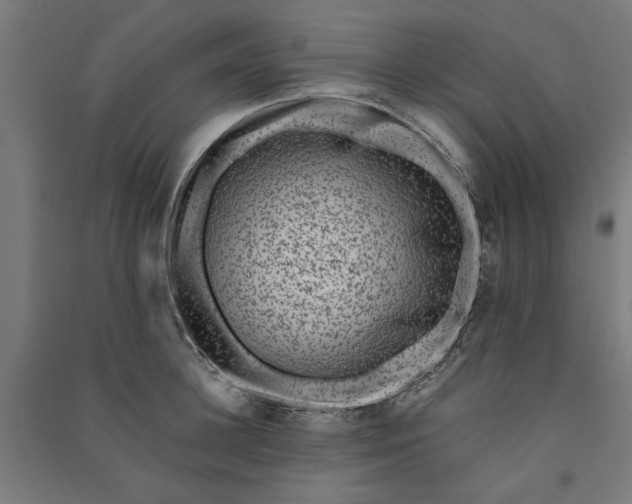 X0000091060948200708201342