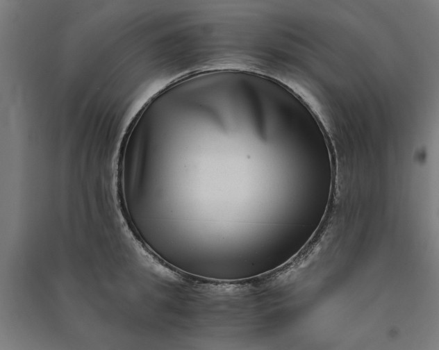 X0000091060949200708201342