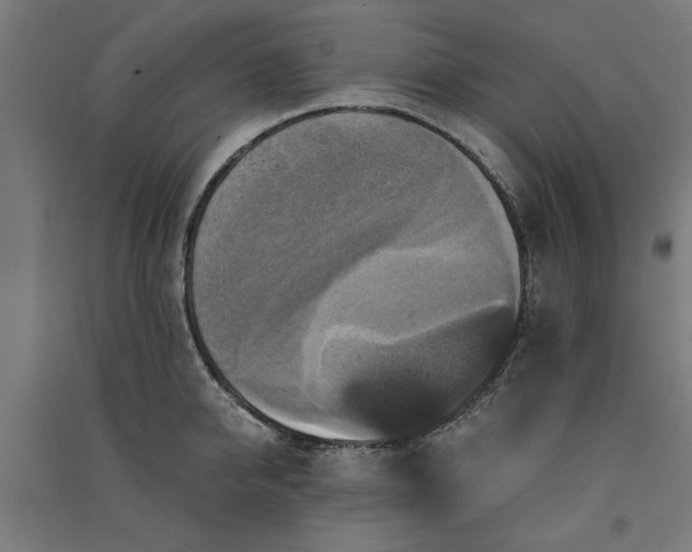 X0000091060950200708201342
