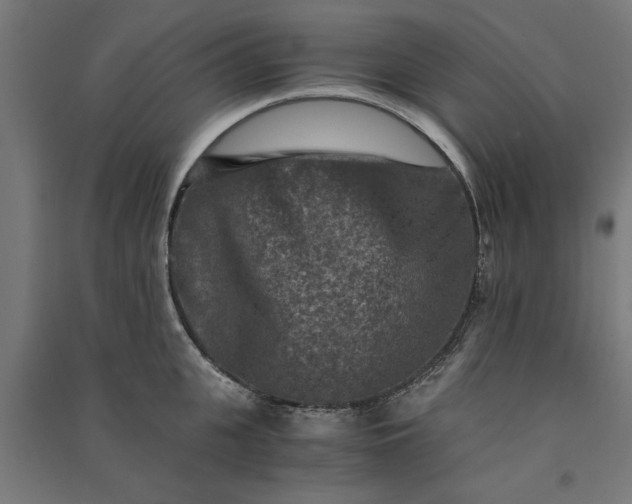 X0000091060951200708201342