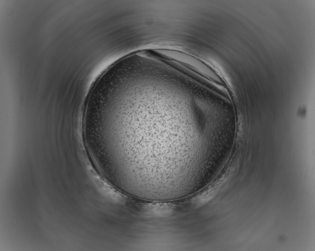 X0000091060952200708201342
