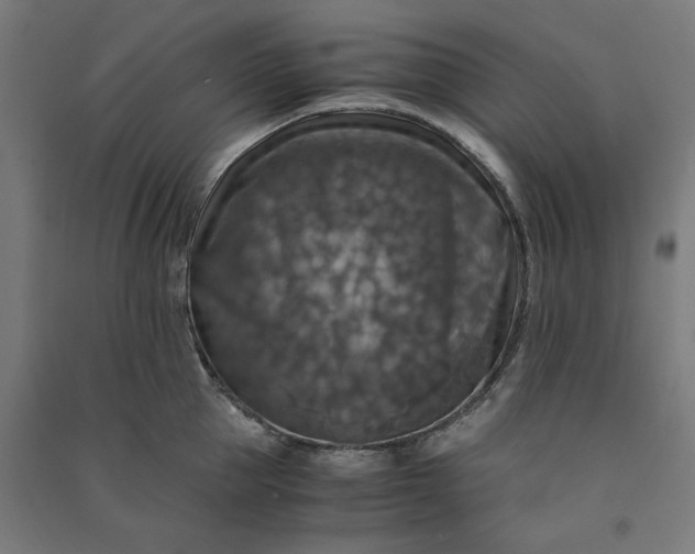 X0000091060953200708201342