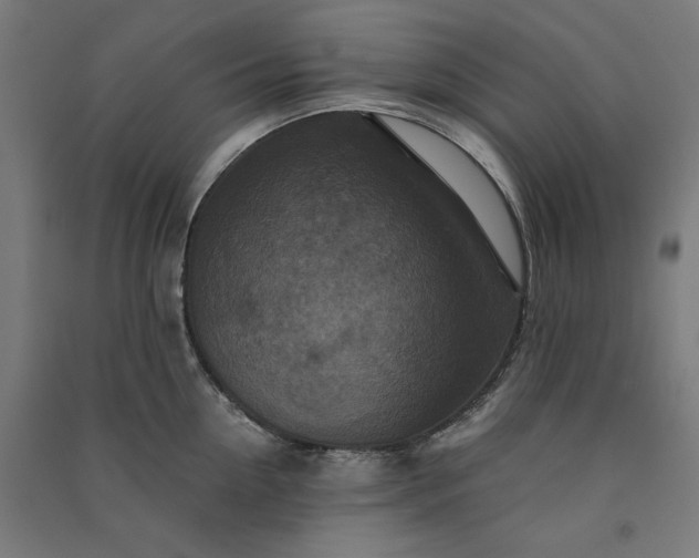 X0000091060954200708201342