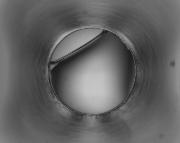X0000091060956200708201342