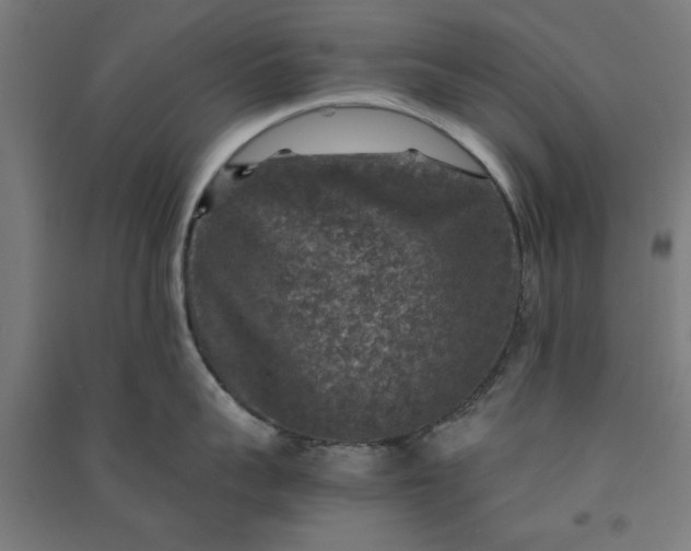 X0000091060959200708201342