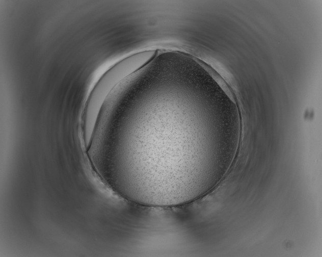X0000091060960200708201342