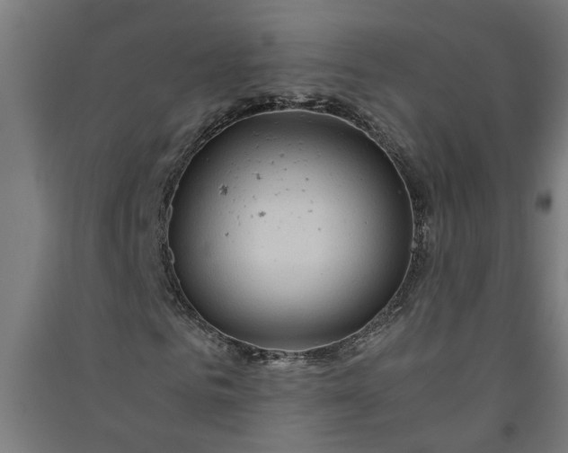X0000091060961200708201342
