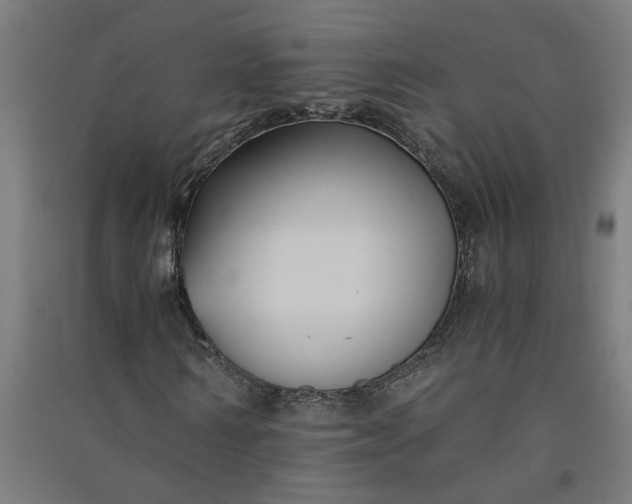 X0000091060962200708201342