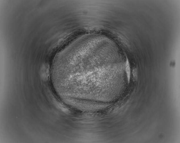 X0000091060963200708201342