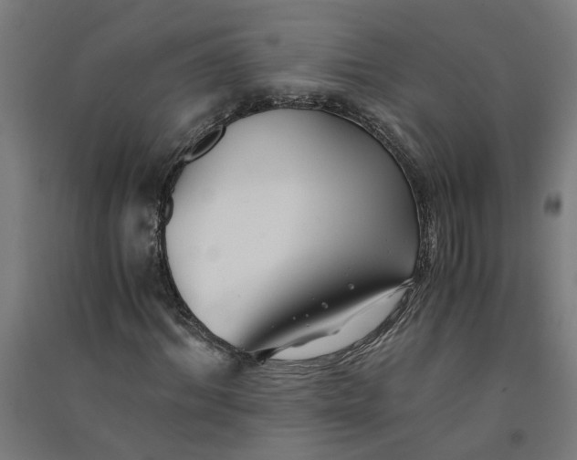 X0000091060964200708201341