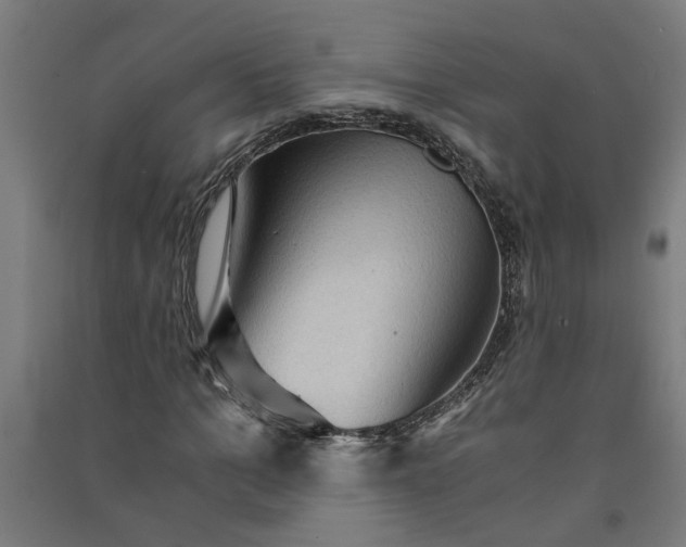 X0000091060965200708201341
