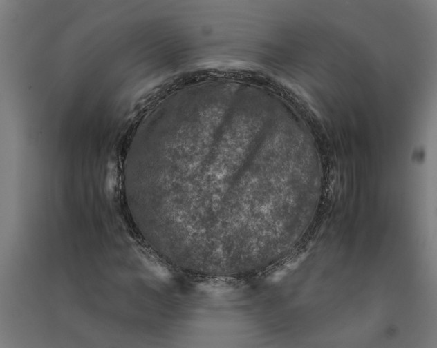 X0000091060966200708201341