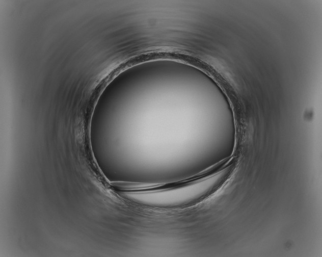 X0000091060969200708201341