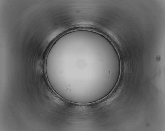X0000091060970200708201341