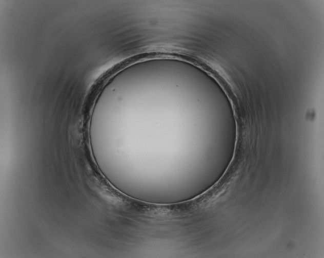 X0000091060971200708201341