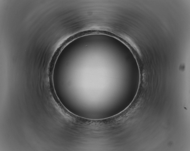 X0000091060972200708201341