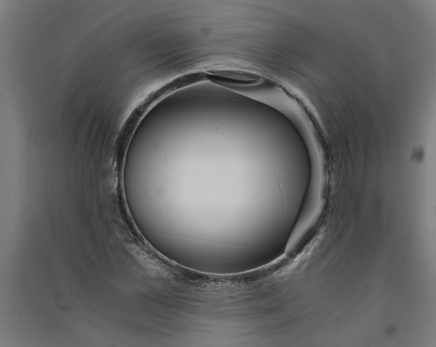 X0000091060973200708201341