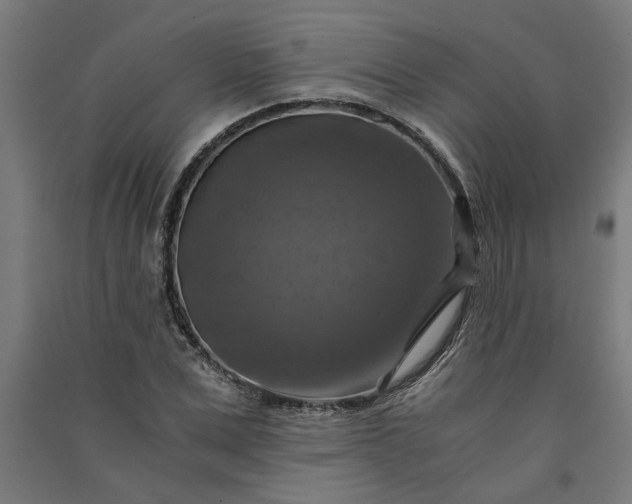 X0000091060975200708201341