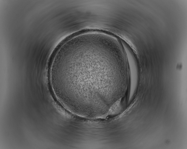X0000091060976200708201341