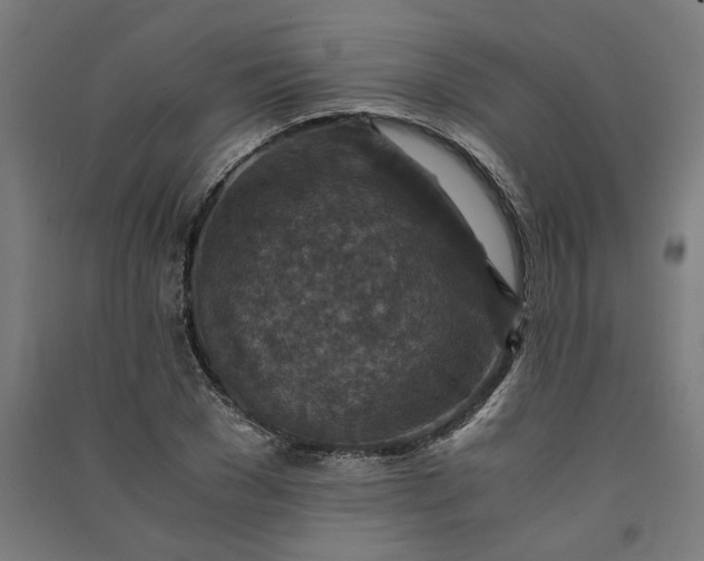 X0000091060977200708201341