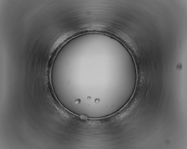 X0000091060978200708201341