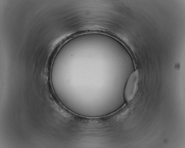 X0000091060979200708201341