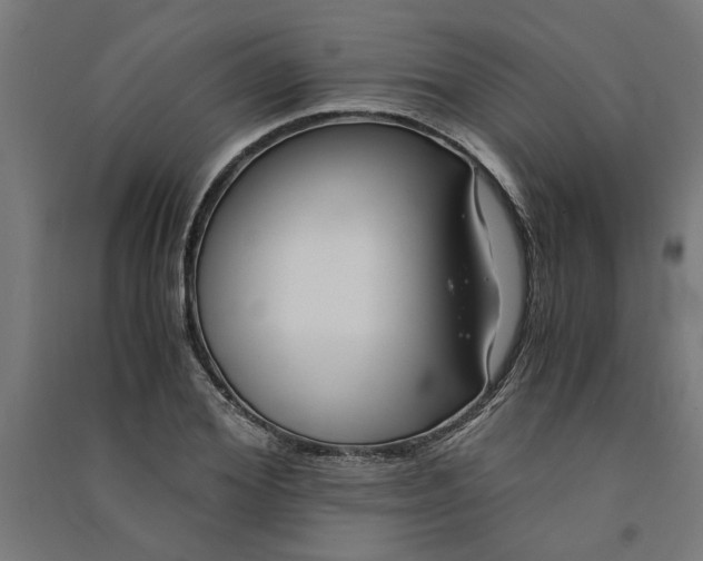 X0000091060980200708201341
