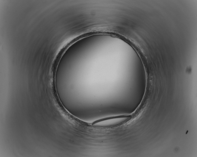 X0000091060981200708201341