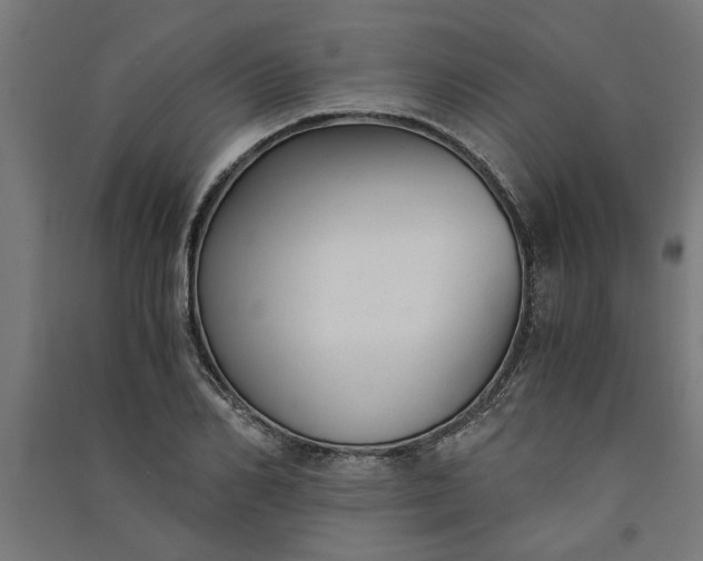 X0000091060982200708201341