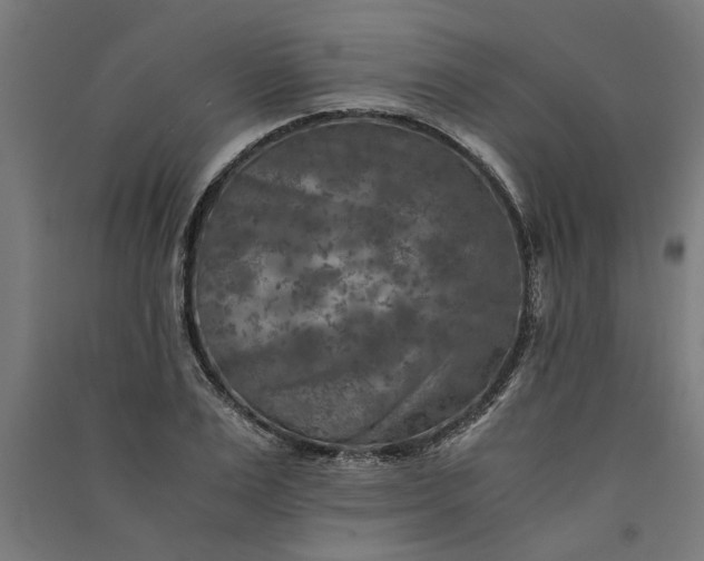 X0000091060983200708201341