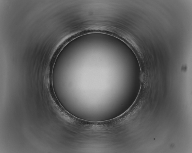 X0000091060984200708201341