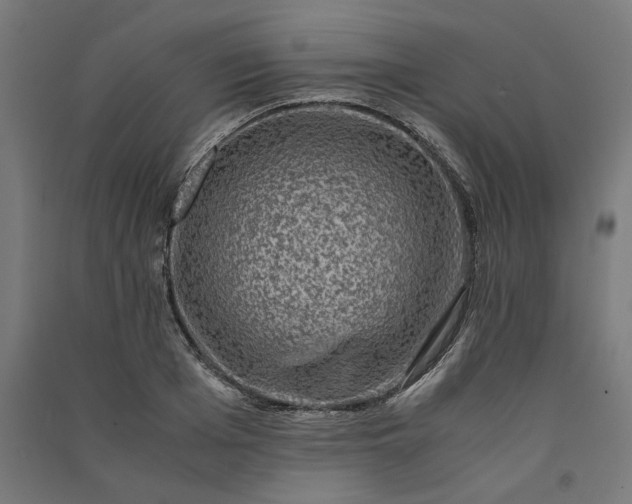 X0000091060985200708201341