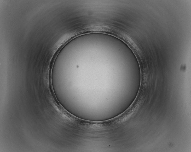 X0000091060986200708201341