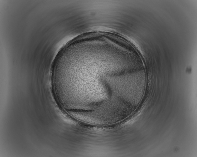 X0000091060987200708201341