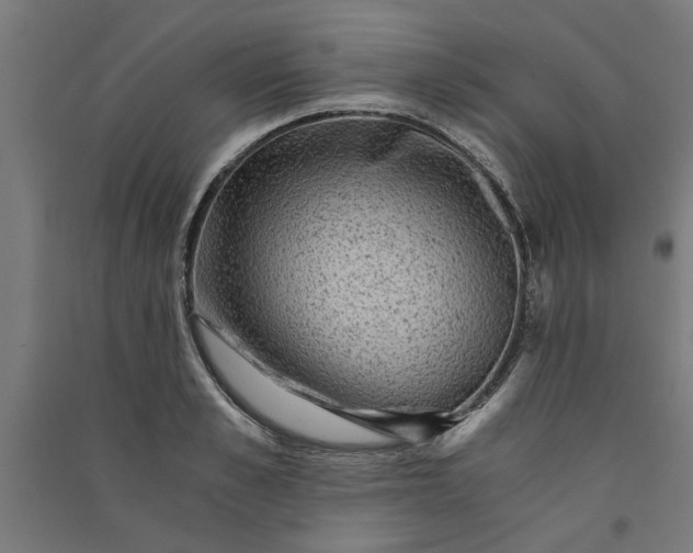 X0000091060989200708201341