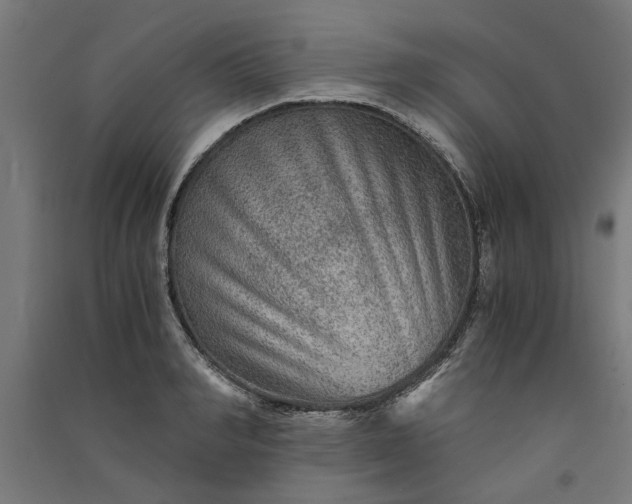X0000091060990200708201341