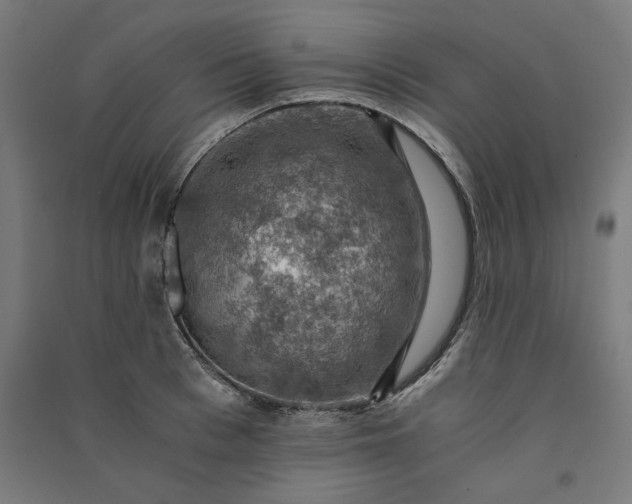 X0000091060993200708201341
