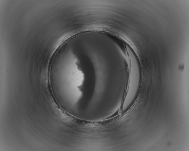 X0000091060994200708201341