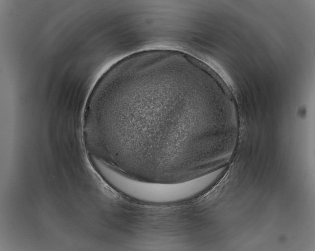X0000091060996200708201341