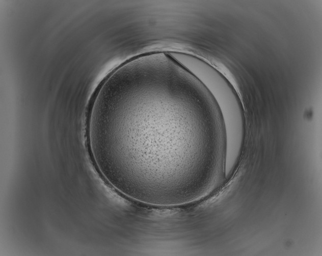 X0000091060997200708201341