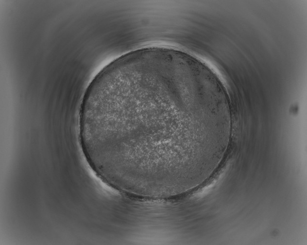 X0000091060999200708201341