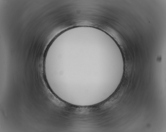 X0000091061000200708201341