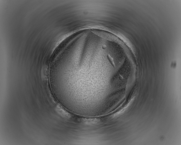 X0000091061001200708201341