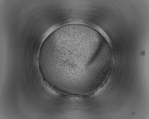 X0000091061002200708201341