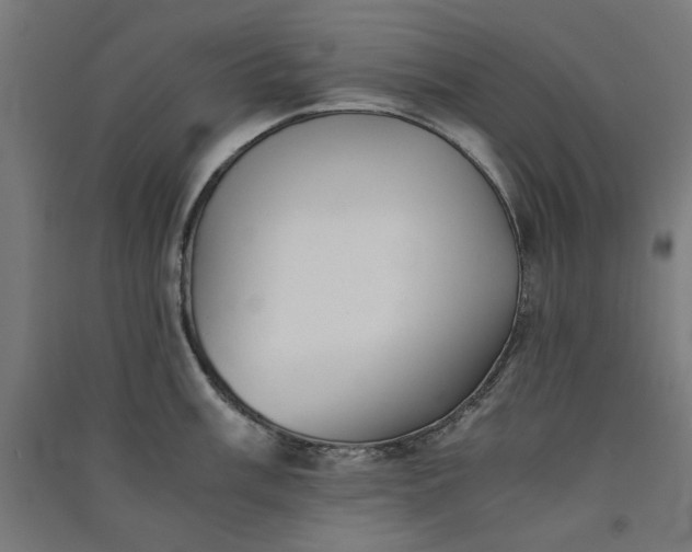 X0000091061003200708201341