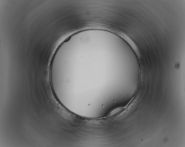 X0000091061004200708201341