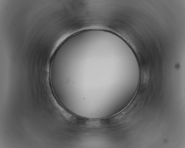 X0000091061006200708201341
