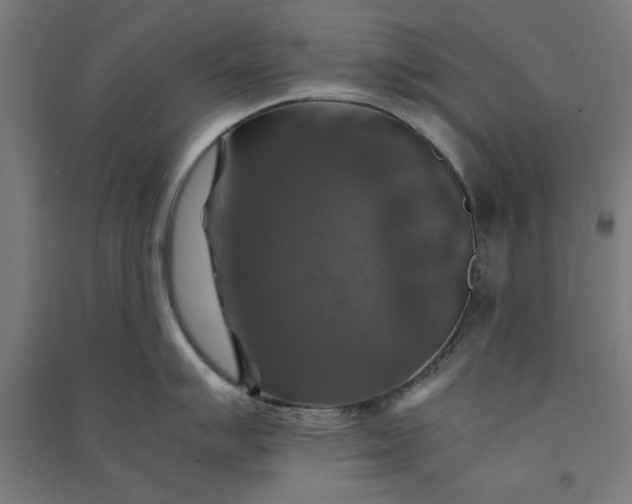 X0000091061007200708201341