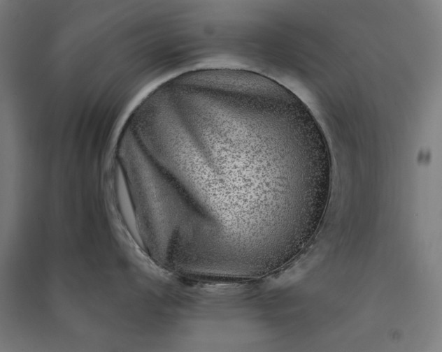 X0000091061008200708201341